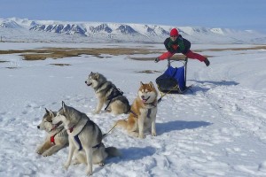 Iceland huskies yoga retreat